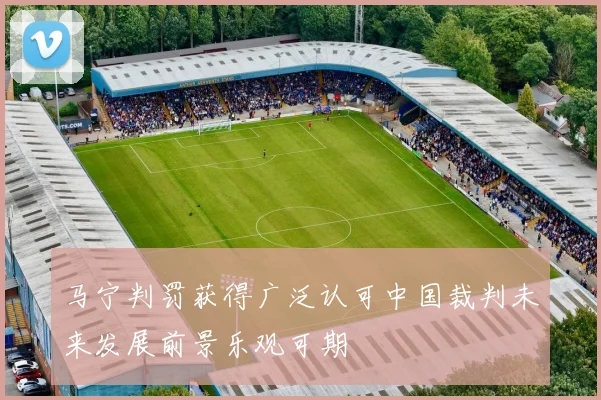 马宁判罚获得广泛认可中国裁判未来发展前景乐观可期